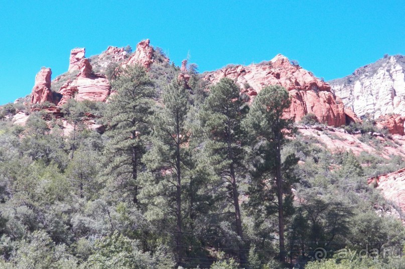 Slide Rock. Ежевика и яблоки.