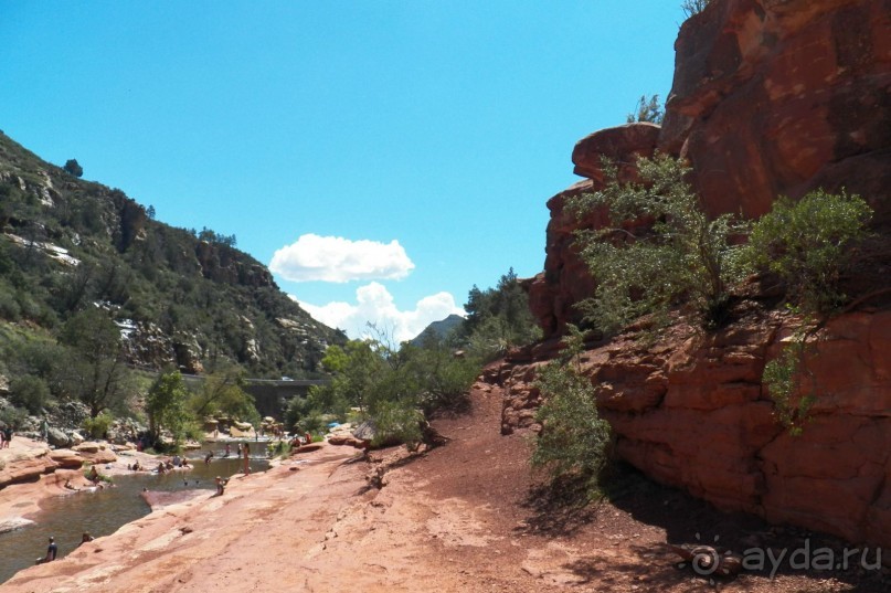 Slide Rock. Ежевика и яблоки.