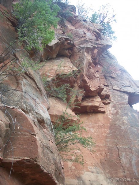 Slide Rock. Ежевика и яблоки.