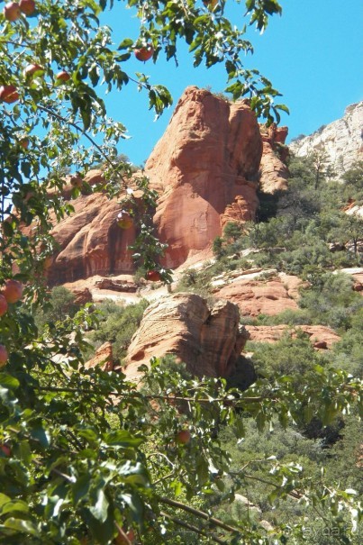 Slide Rock. Ежевика и яблоки.