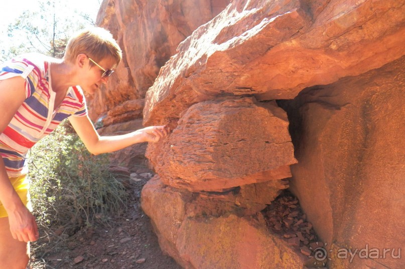 Slide Rock. Ежевика и яблоки.