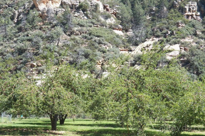 Slide Rock. Ежевика и яблоки.