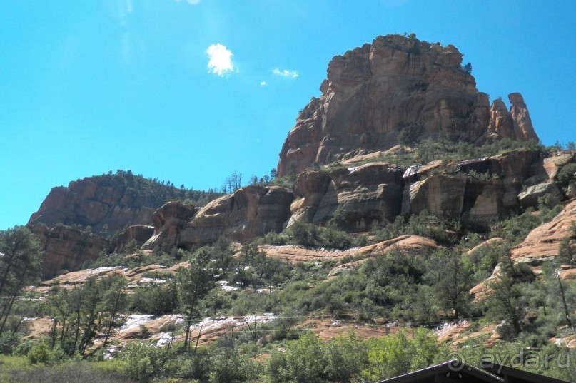 Slide Rock. Ежевика и яблоки.