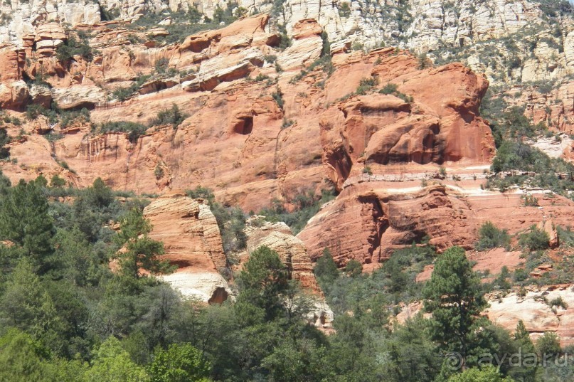 Slide Rock. Ежевика и яблоки.