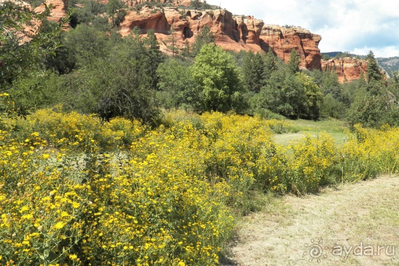 Slide Rock. Ежевика и яблоки.