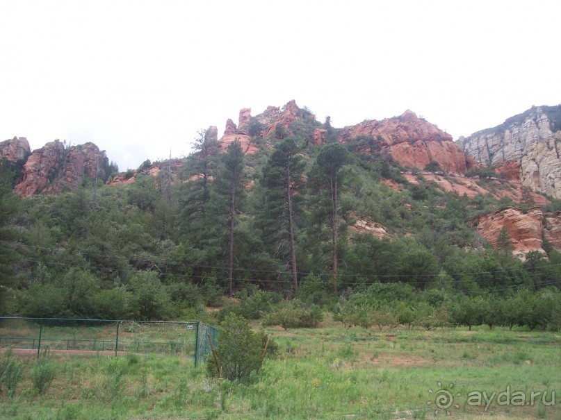 Slide Rock. Ежевика и яблоки.