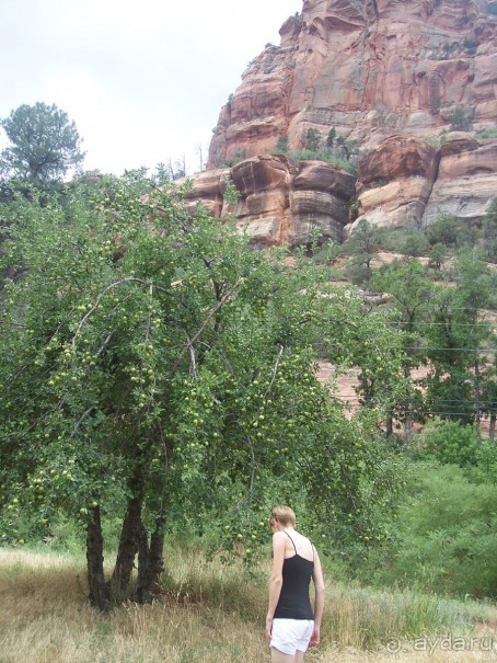 Slide Rock. Ежевика и яблоки.