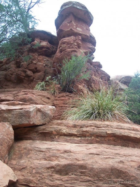 Slide Rock. Ежевика и яблоки.