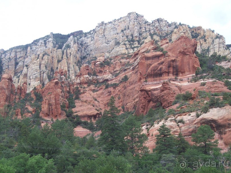 Slide Rock. Ежевика и яблоки.