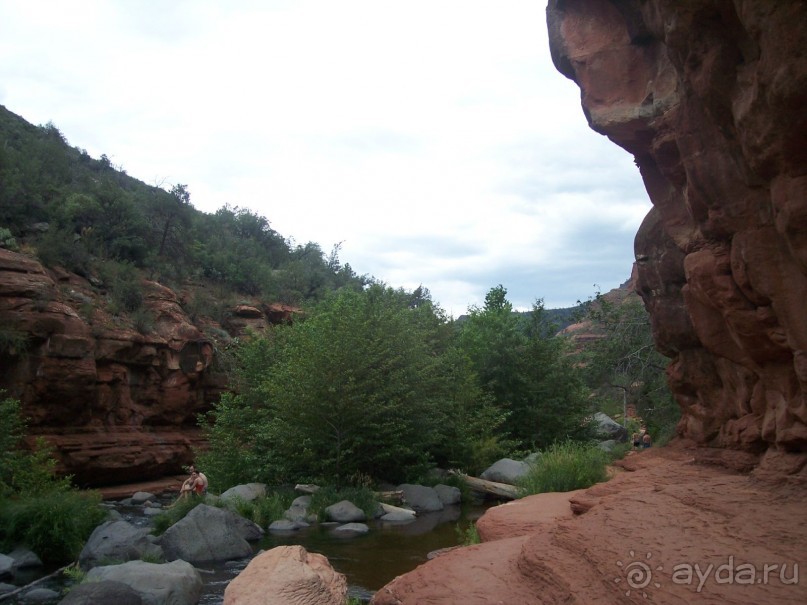 Slide Rock. Ежевика и яблоки.