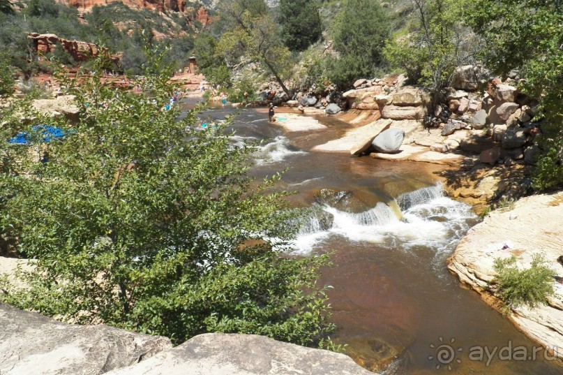 Slide Rock. Ежевика и яблоки.