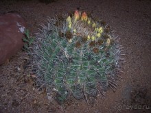 Аризона 1 – Седона и окрестности