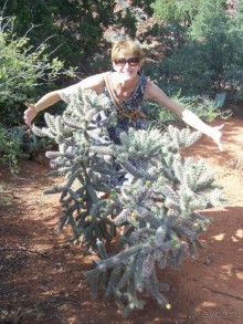 Аризона 1 – Седона и окрестности