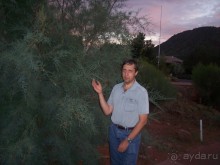 Аризона 1 – Седона и окрестности