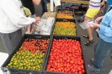 Аризона 1 – Седона и окрестности