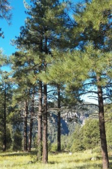 Аризона 1 – Седона и окрестности