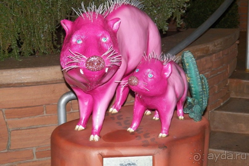 Аризона 1 – Седона и окрестности Аризона 1 – Седона и окрестности