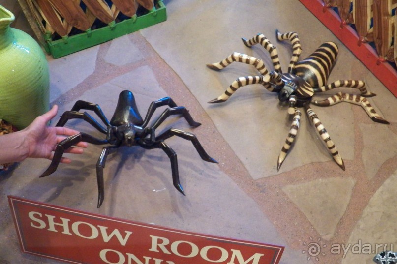 Аризона 1 – Седона и окрестности Аризона 1 – Седона и окрестности