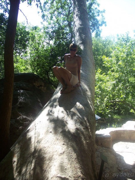 Аризона 1 – Седона и окрестности Аризона 1 – Седона и окрестности