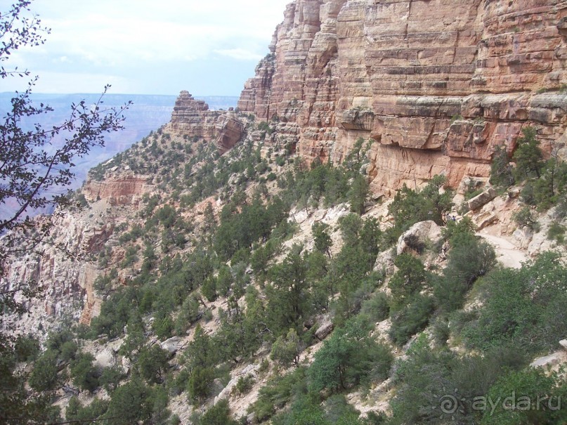 Гранд Каньон. Как не попасть на дно. Способ первый.