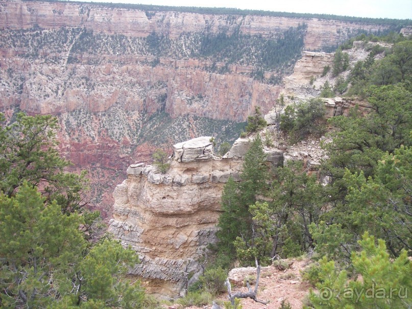 Гранд Каньон. Как не попасть на дно. Способ первый.