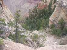 Гранд Каньон. Как не попасть на дно. Способ первый.