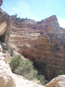 Гранд Каньон. Как не попасть на дно. Способ первый.