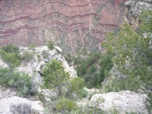 Гранд Каньон. Как не попасть на дно. Способ первый.