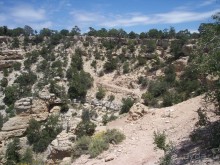 Гранд Каньон. Как не попасть на дно. Способ первый.