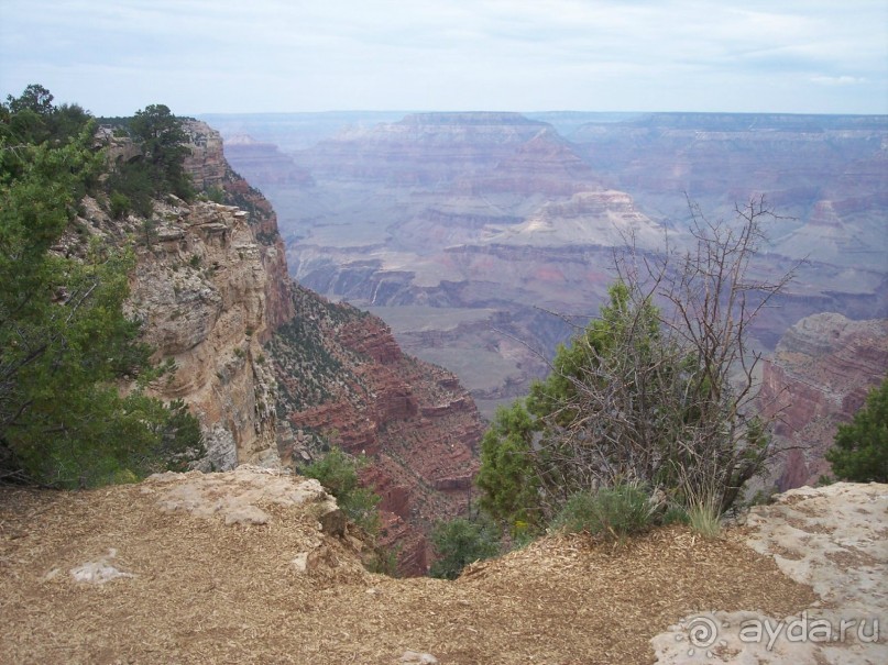 Гранд Каньон. Как не попасть на дно. Способ первый.
