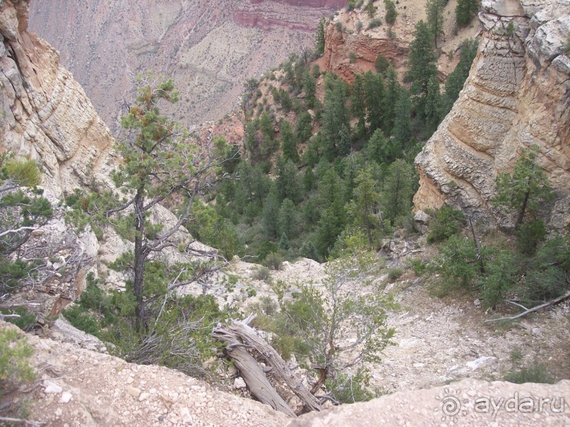 Гранд Каньон. Как не попасть на дно. Способ первый.