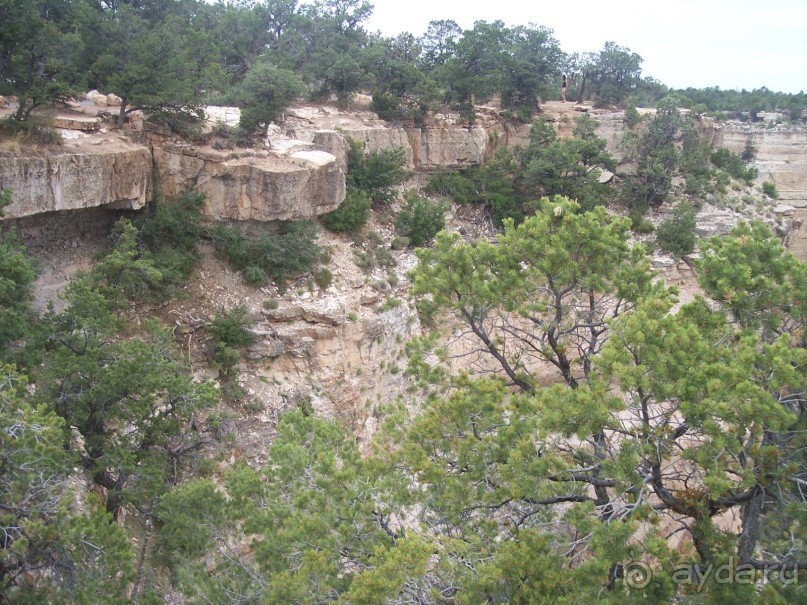 Гранд Каньон. Как не попасть на дно. Способ первый.