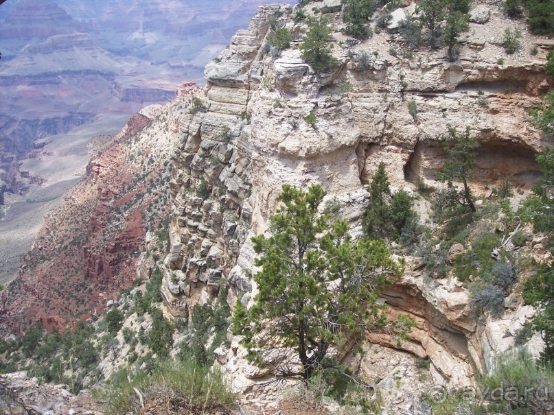 Гранд Каньон. Как не попасть на дно. Способ первый.