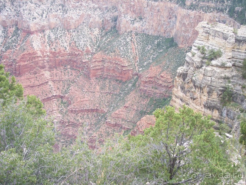 Гранд Каньон. Как не попасть на дно. Способ первый.