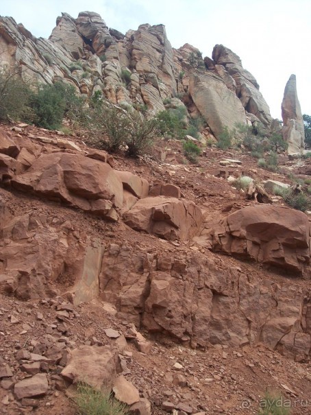 Гранд Каньон. Как не попасть на дно. Способ первый.