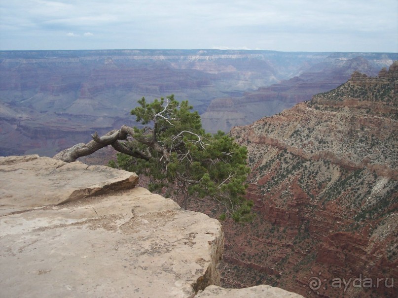 Гранд Каньон. Как не попасть на дно. Способ первый.