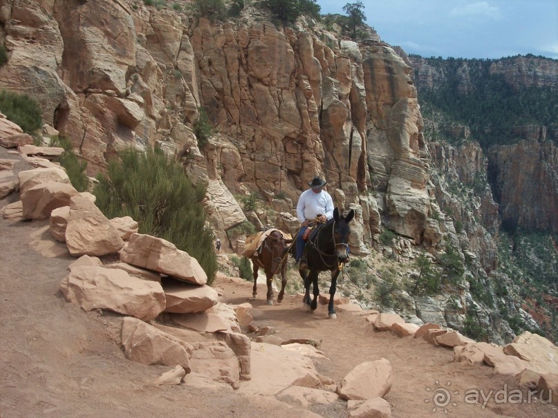 Гранд Каньон. Как не попасть на дно. Способ первый.