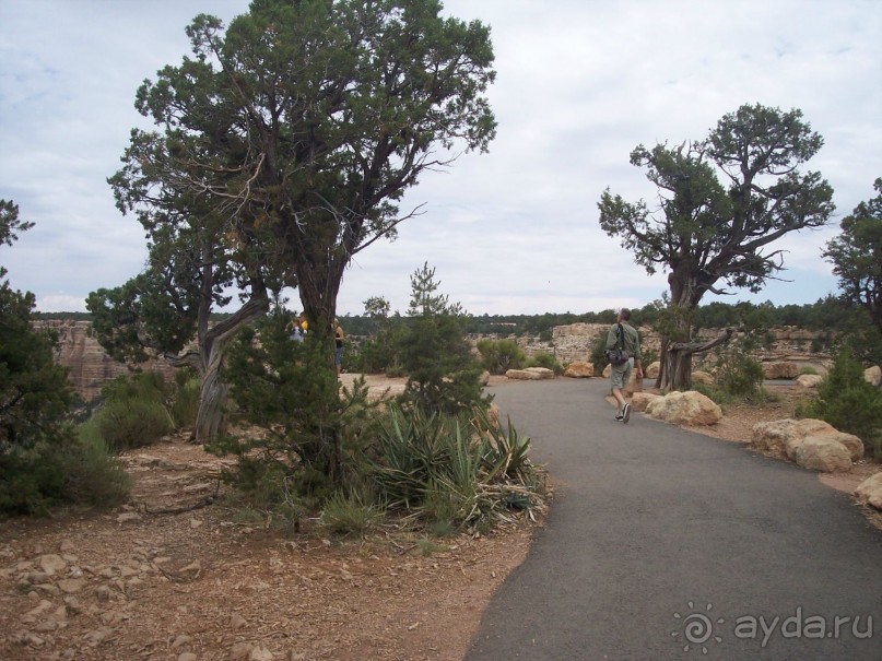 Гранд Каньон. Как не попасть на дно. Способ первый.