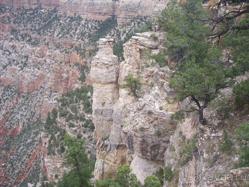 Гранд Каньон. Как не попасть на дно. Способ первый.