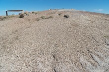 Окаменелый лес в Раскрашенной пустыне