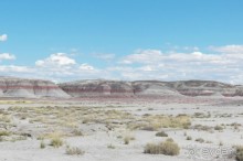 Окаменелый лес в Раскрашенной пустыне