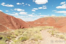 Окаменелый лес в Раскрашенной пустыне