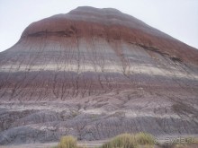 Окаменелый лес в Раскрашенной пустыне