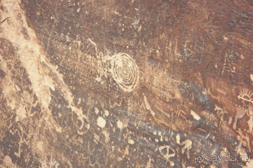 Окаменелый лес в Раскрашенной пустыне