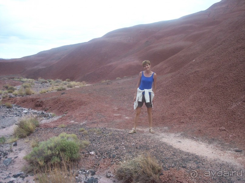 Окаменелый лес в Раскрашенной пустыне