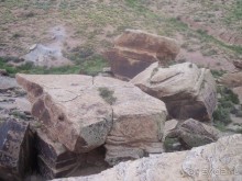 Окаменелый лес в Раскрашенной пустыне