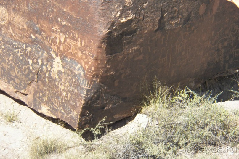 Окаменелый лес в Раскрашенной пустыне