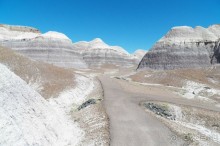 Окаменелый лес в Раскрашенной пустыне