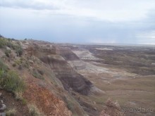 Окаменелый лес в Раскрашенной пустыне