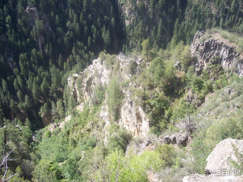 Окаменелый лес в Раскрашенной пустыне